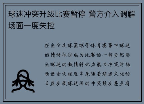 球迷冲突升级比赛暂停 警方介入调解场面一度失控